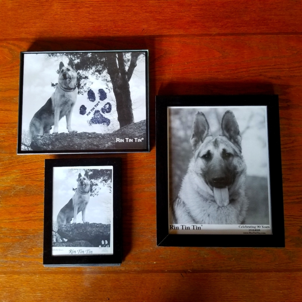 Rin Tin Tin framed prints.